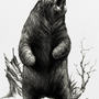 Медведь Рисунок Графика