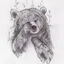 Медведь рисунок графика