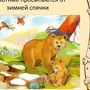 Медведь Проснулся Картинка Для Детей