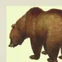 Медведь на ухо наступил картинка