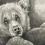 Рисунок Медведицы Карандашом
