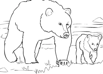 Белая медведица с медвежонком рисунок