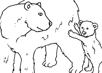 Белая медведица с медвежонком рисунок