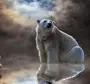 Картинки на телефон на заставку медведь