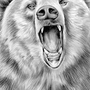 Рисунки Белого Медведя Для Срисовки