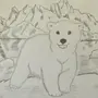 Рисунки Белого Медведя Для Срисовки