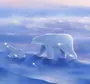 Картинка Медведь На Льдине