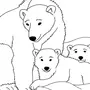 Картинка Белого Медведя Для Детей Раскраски