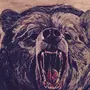 Злой медведь рисунок