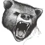 Злой Медведь Рисунок