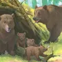 Распечатать Картинку Медведя