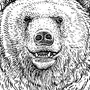 Простой рисунок белого медведя