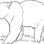 Бурый Медведь Рисунок Карандашом