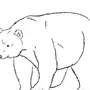 Бурый медведь рисунок