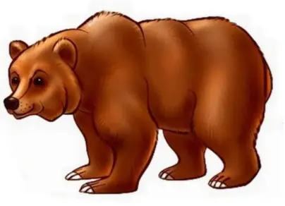 Картинка медведь на белом фоне