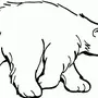 Белый медведь картинки раскраски
