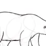 Белый медведь рисунок карандашом