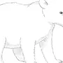 Белый Медведь Рисунок Для Детей Карандашом