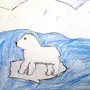 Северный Медведь Рисунок