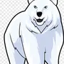 Белый медведь картинка рисунок