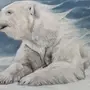 Белый медведь картинка рисунок