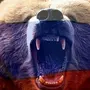 Медведя с российским флагом