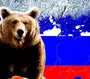 Медведя С Российским Флагом