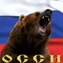 Картинки С Медведем И Флагом