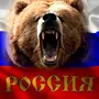 Картинки с медведем и флагом
