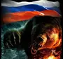 Картинки С Медведем И Флагом