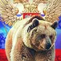 Русский медведь картинки