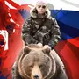 Русский медведь картинки
