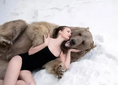 Редактор с медведем