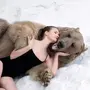 Редактор с медведем