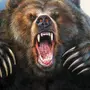 Разъяренный медведь