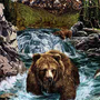 Найди медведя на картинке