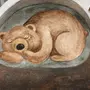 Медведь Спит Картинки