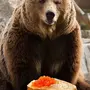 Медведь С Блинами Картинки