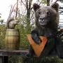 Медведь С Балалайкой Рисунок