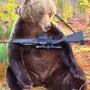 Медведь С Автоматом