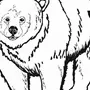 Медведь Картинка Черно Белая