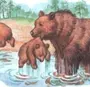 Купание Медвежат Бианки Картинки