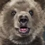 Медведь в полный рост