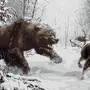 Охота На Медведя