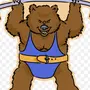 Спортивный Медведь Картинки