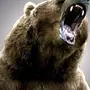 Ревущий Медведь