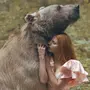 Девушка и медведь картинки