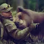 Боевой медведь картинки