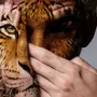 Человек Тигр Картинки