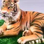 Тигр 3d